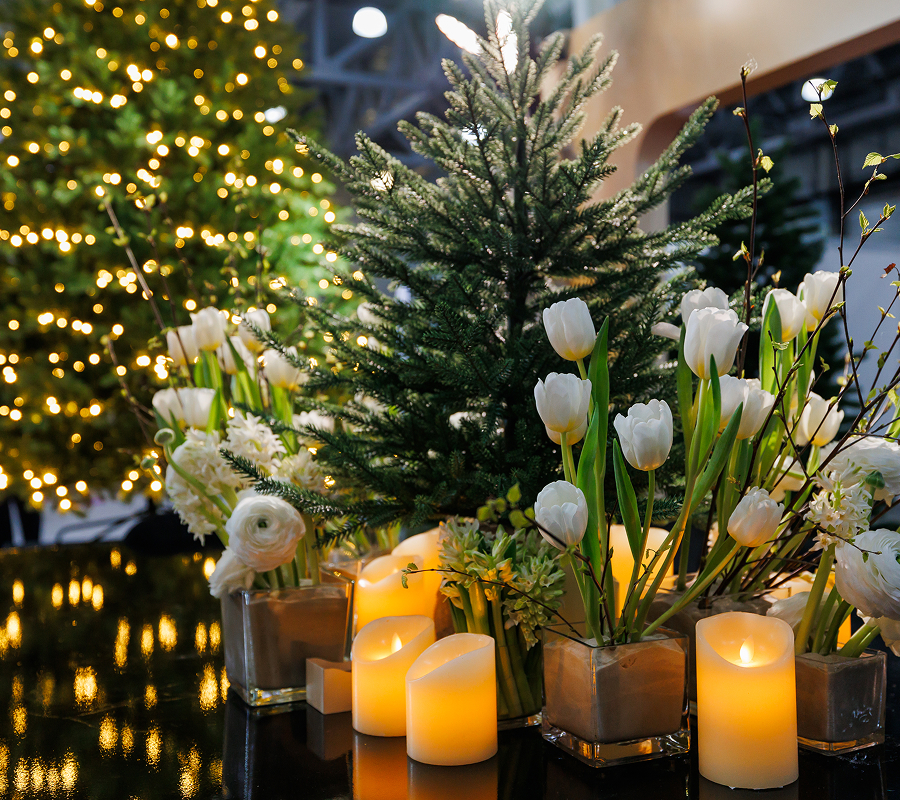 Акции на елки в Апреле