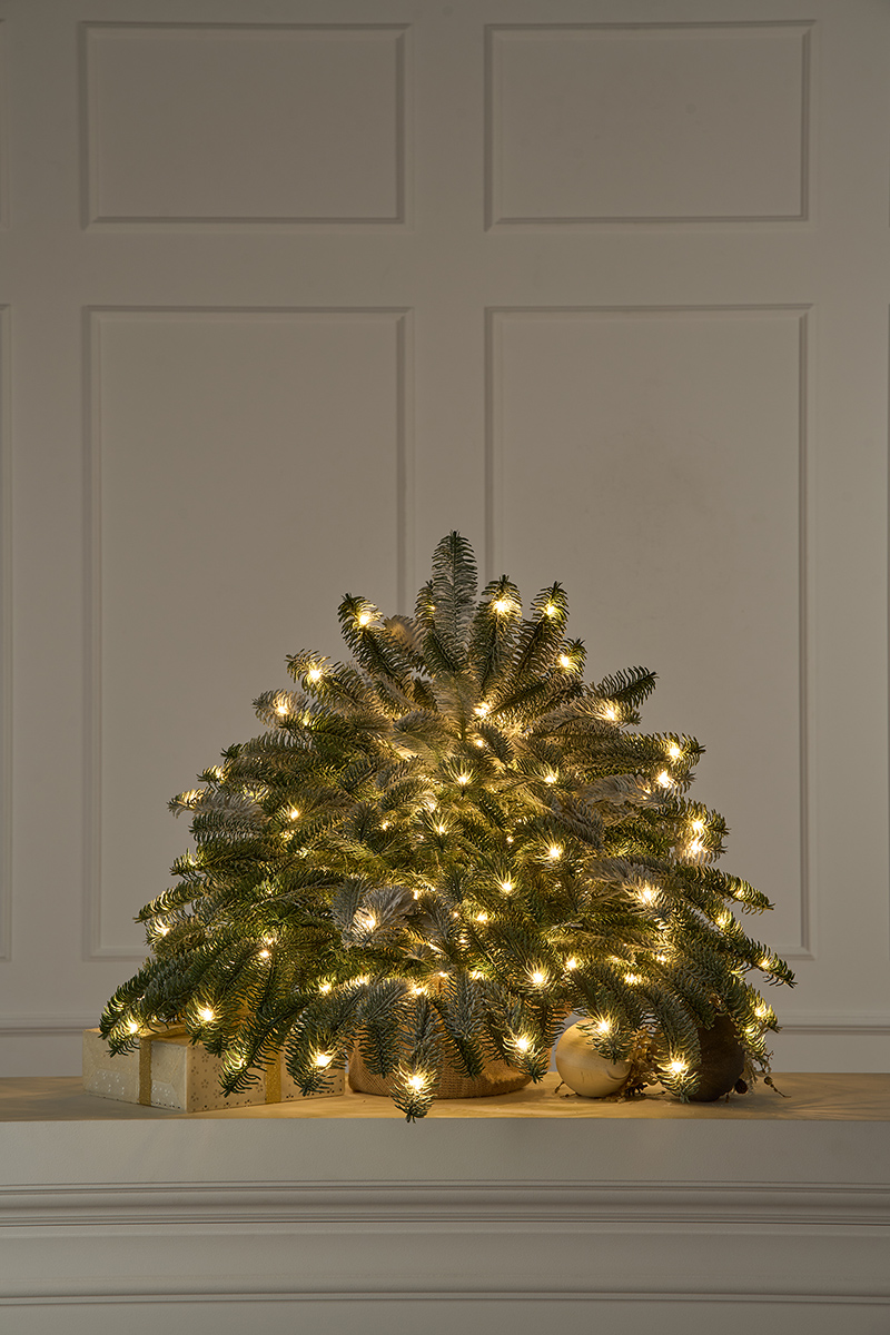 Ель Датская настольная заснеженная с лампочками