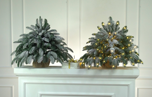 Ель Датская настольная иней с лампочками