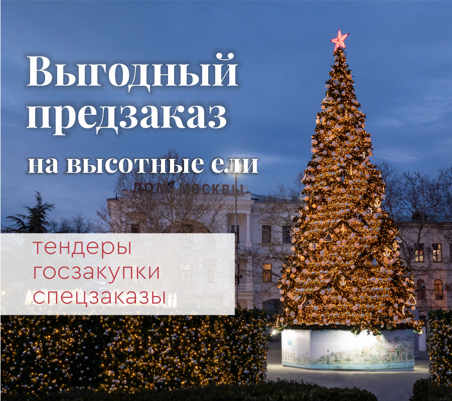 Предзаказ высотных елей: июль — идеальное время