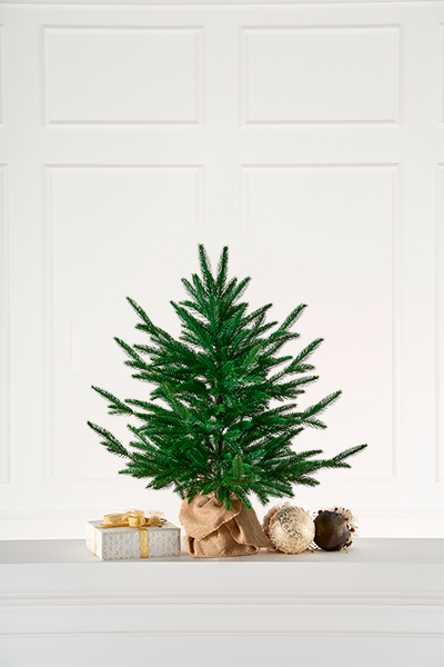 Ель настольная Вяземская