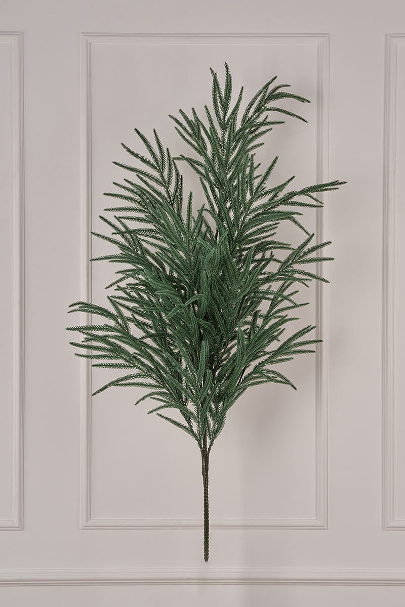 Лапа хвои Южная