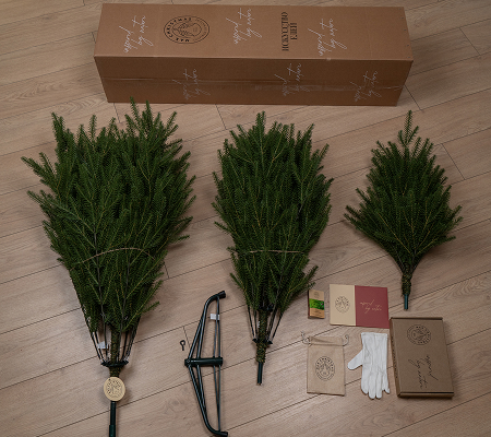 /articles/kak_ukhazhivat_za_iskusstvennoy_yelkoy_max_christmas/