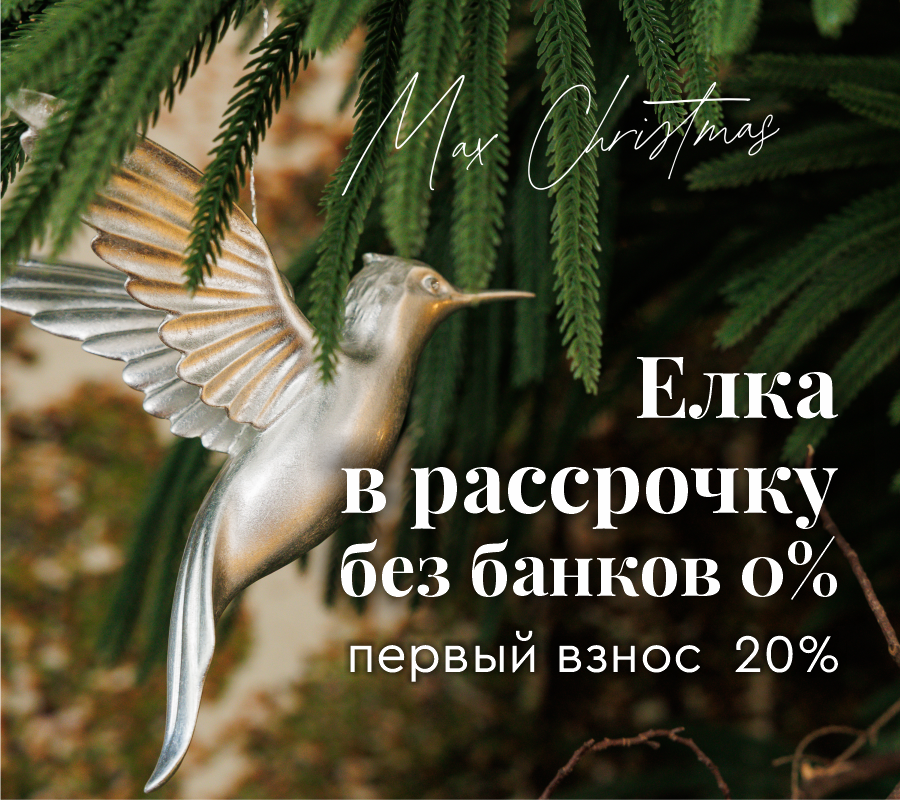 Елка за 20% сейчас — рассрочка без банков