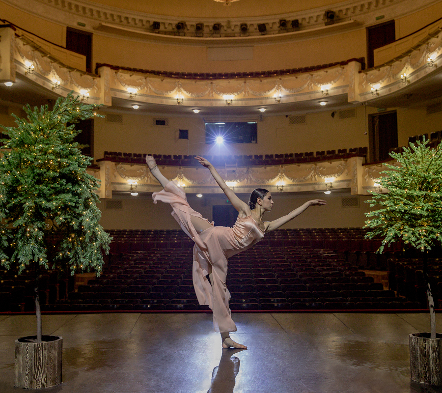 /articles/aktsii_na_elki_v_fevrale/