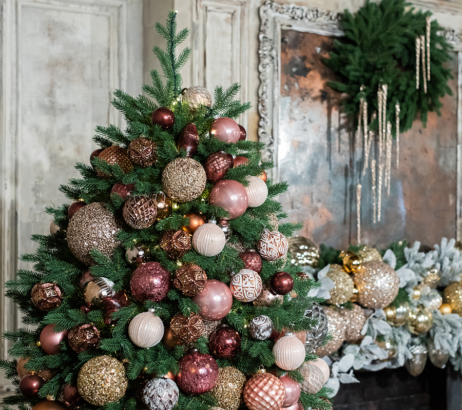 Акции на елки в Марте