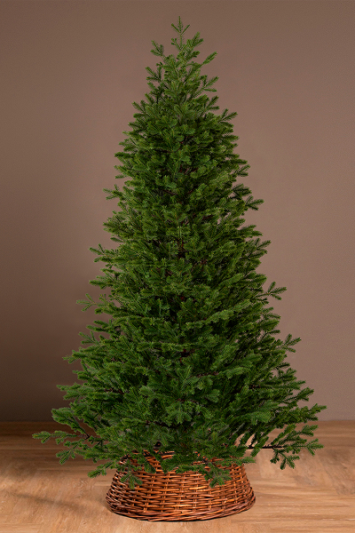 Елка литая Лозанна