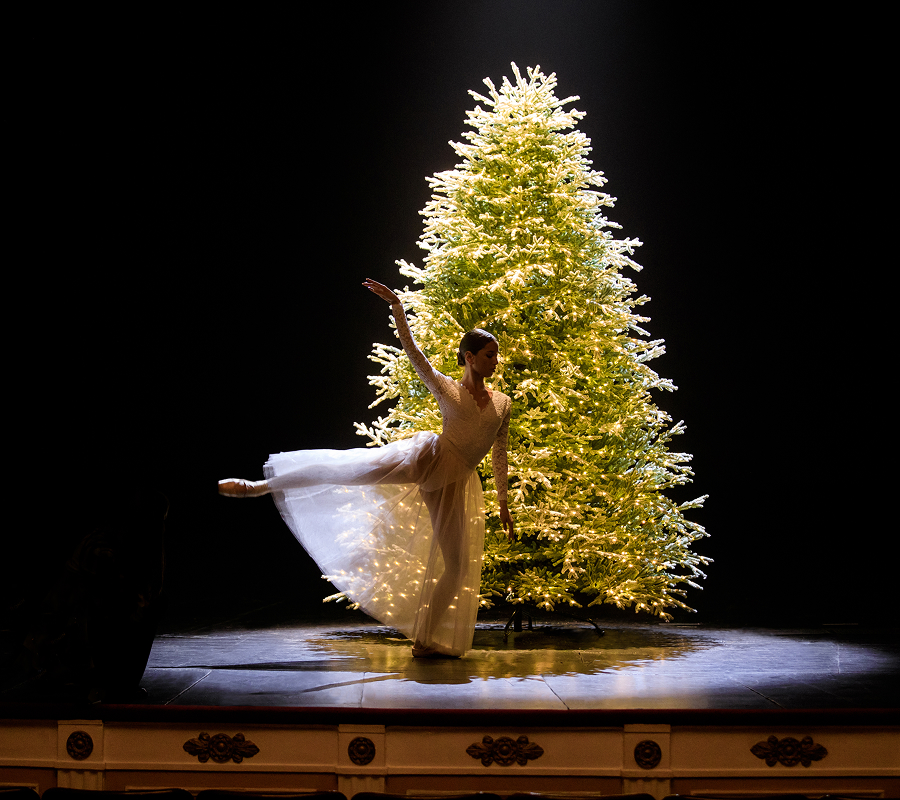 Елка как арт-объект: дизайнерские и элитные ели со встроенной подсветкой