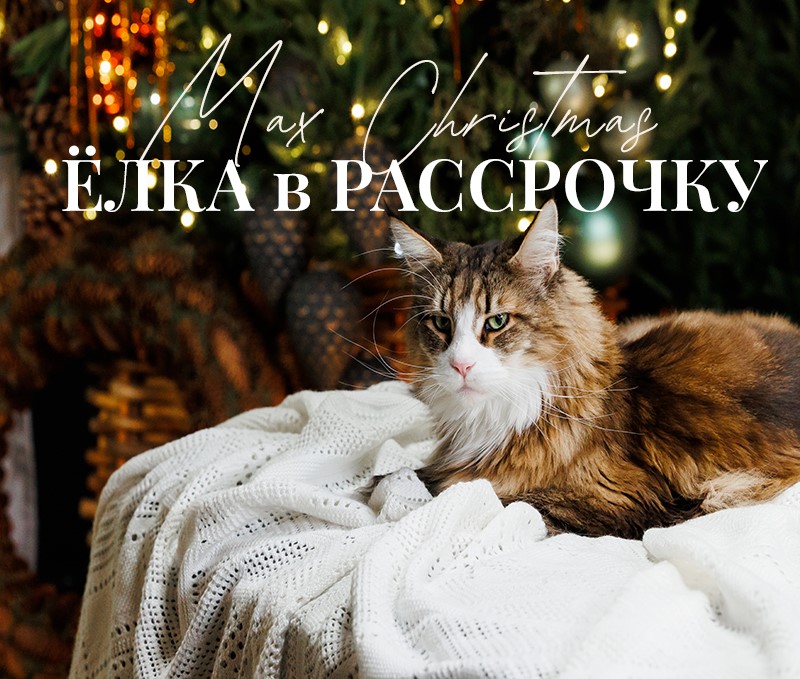 Елка в рассрочку