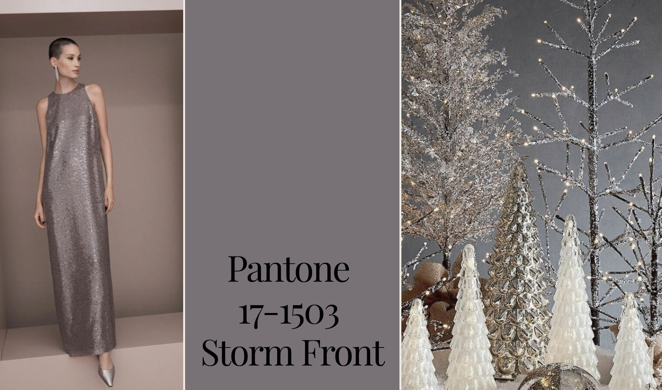 PANTONE 17-1503 Storm Front