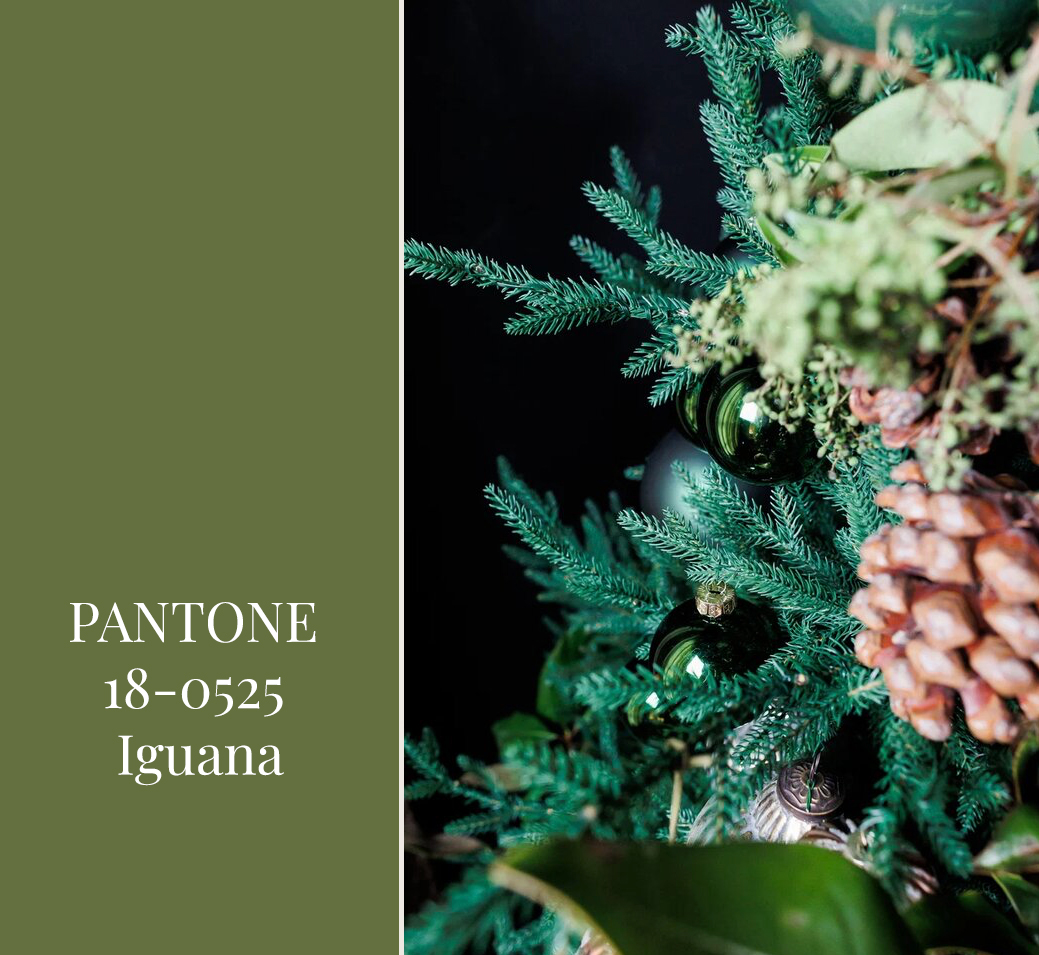 PANTONE 18-0525 Iguana