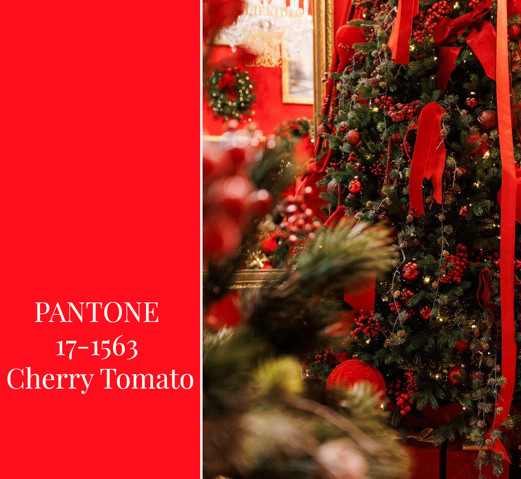 PANTONE 17-1563 Cherry Tomato