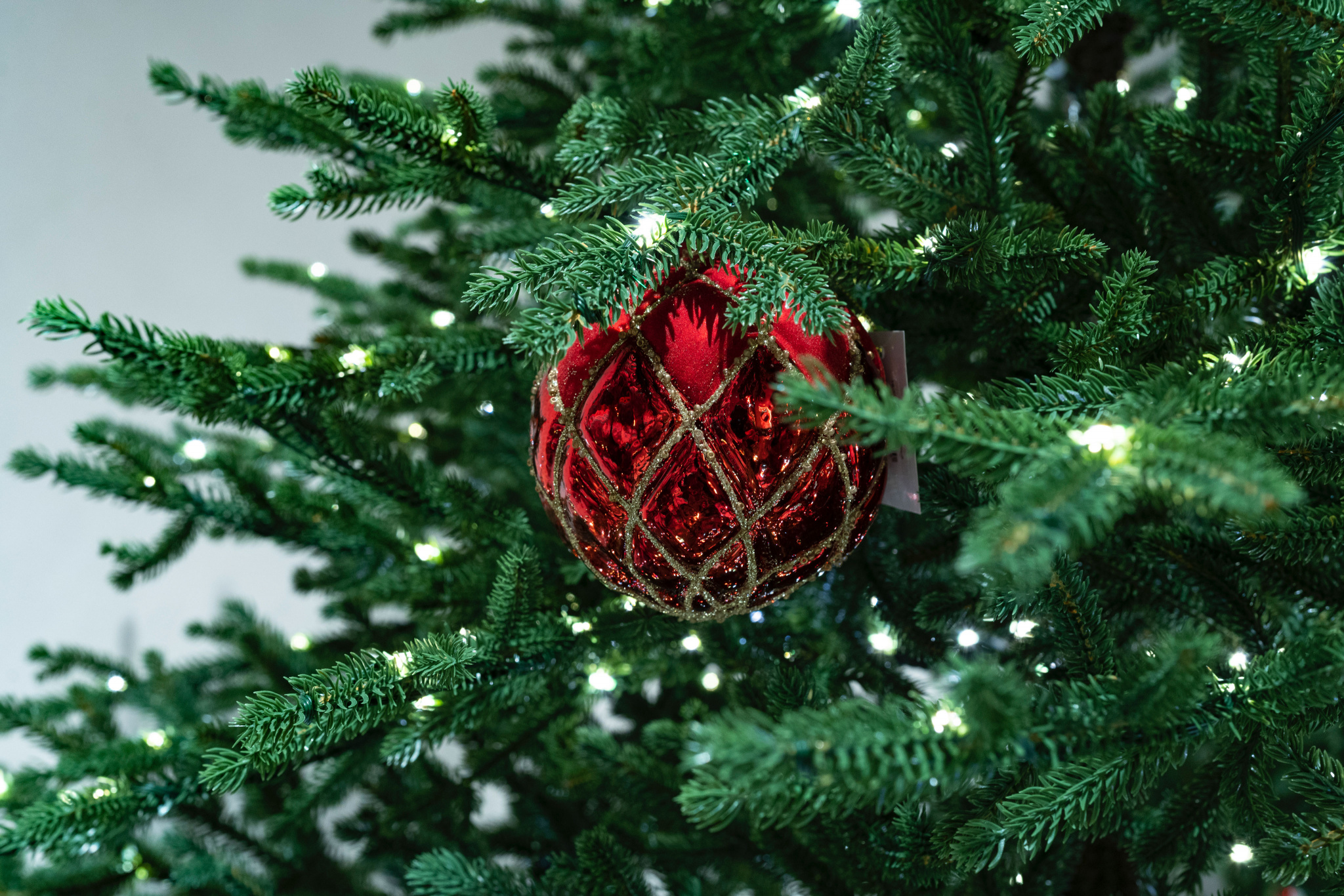 Тренды 2025/26