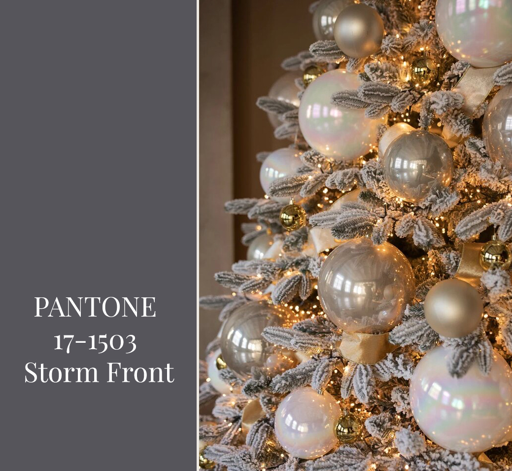 PANTONE 17-1503 Storm Front