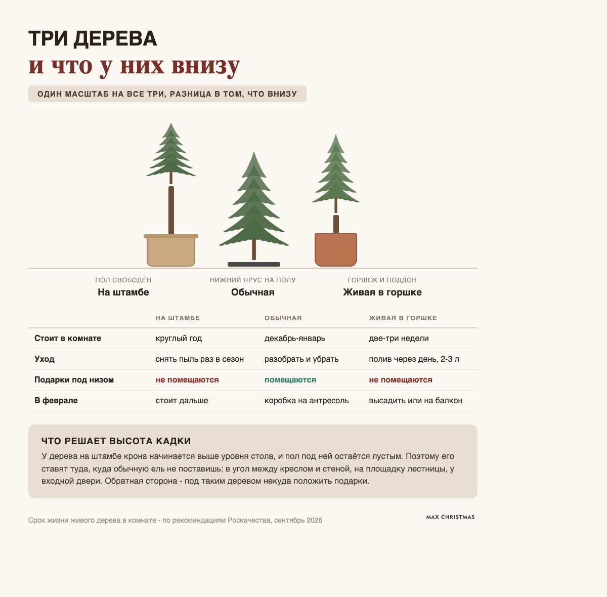 Три дерева в одном масштабе: на штамбе, обычная на крестовине и живая в горшке