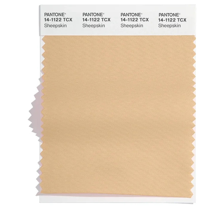 PANTONE 14-1122 Sheepskin