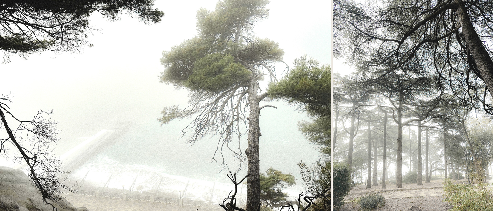 Искусство елей Max Christmas