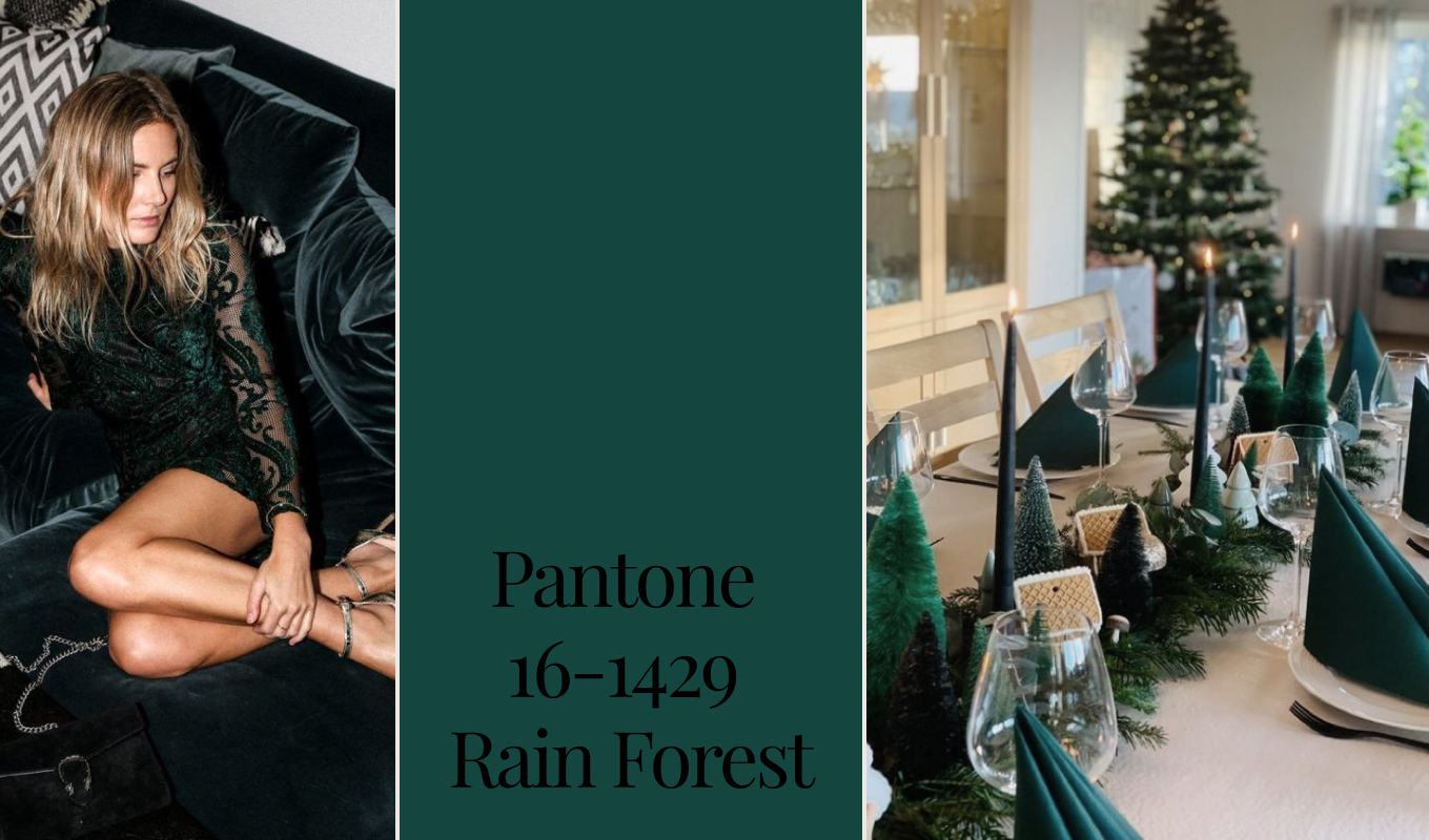 PANTONE 19-5232 Rain Forest