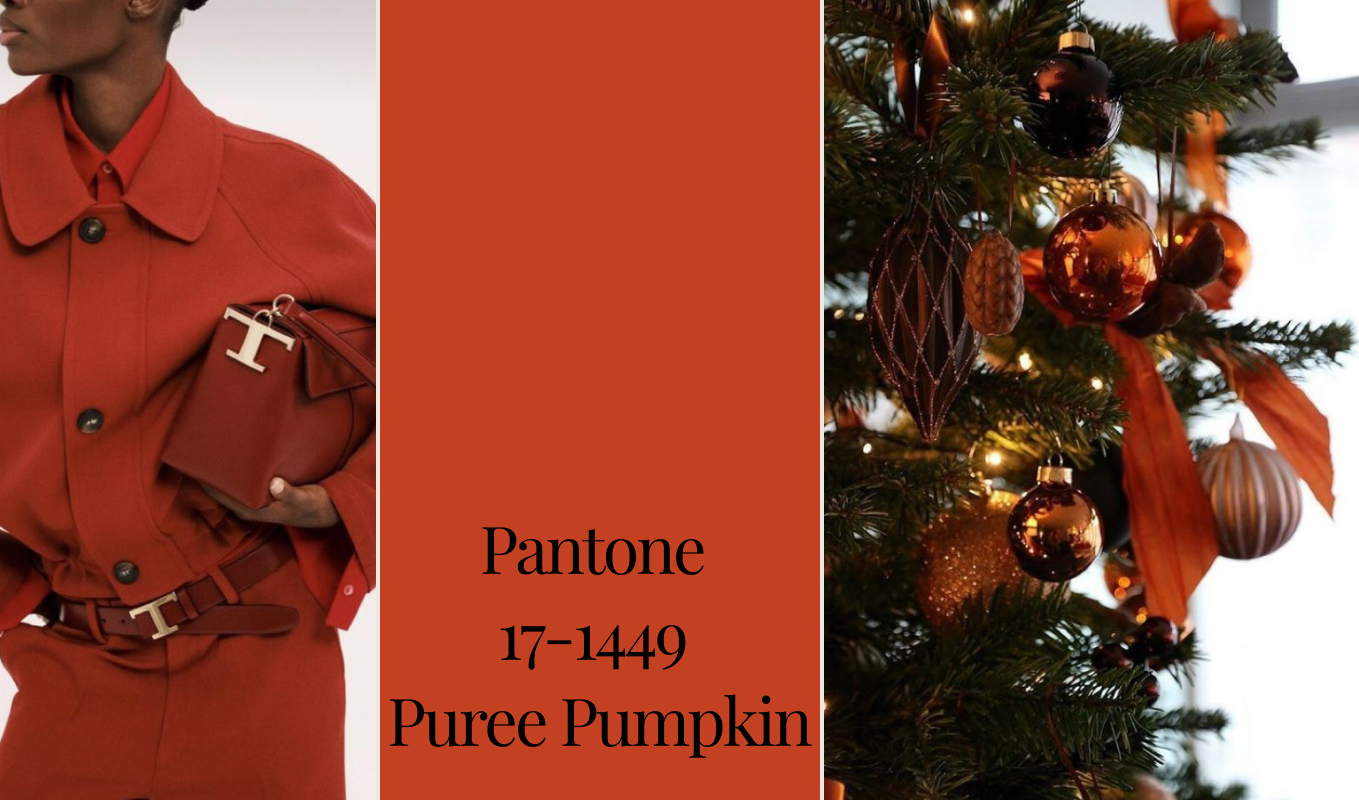 PANTONE 17-1449 Puree Pumpkin