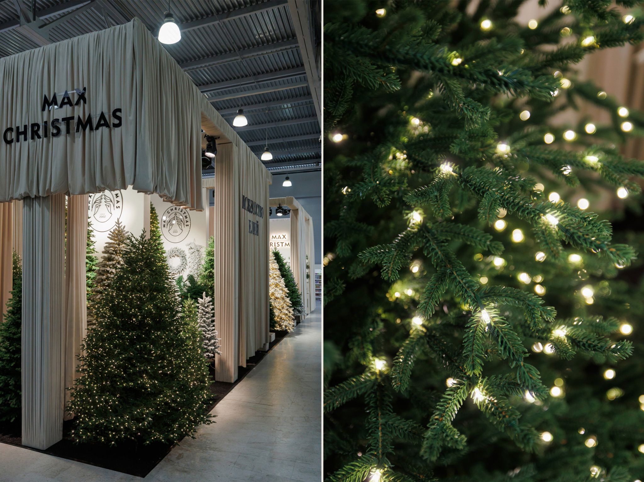 Max Christmas выбирают профессионалы