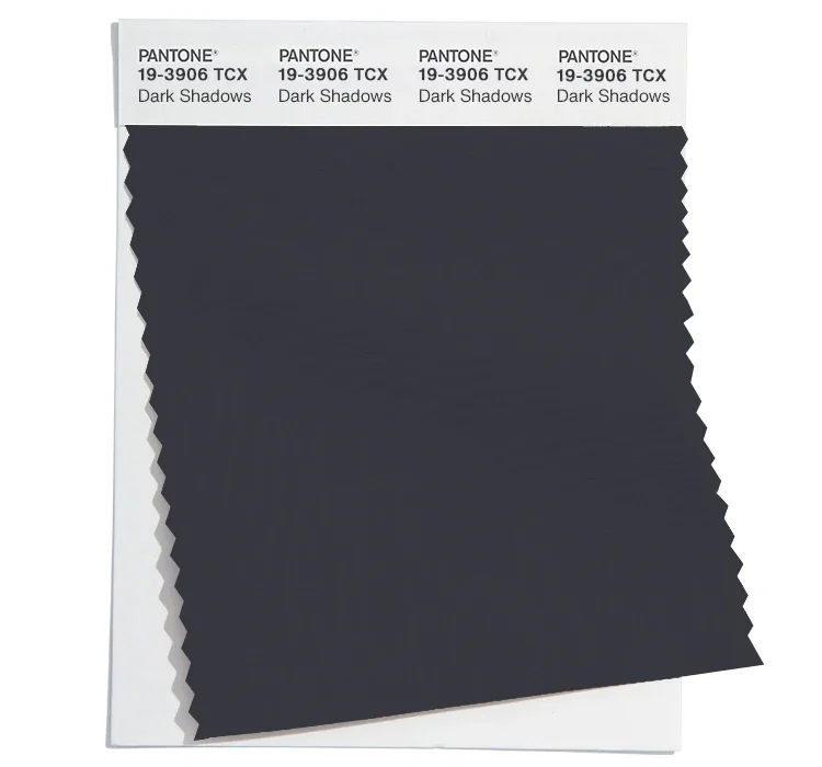 PANTONE 19-3906 Dark Shadow