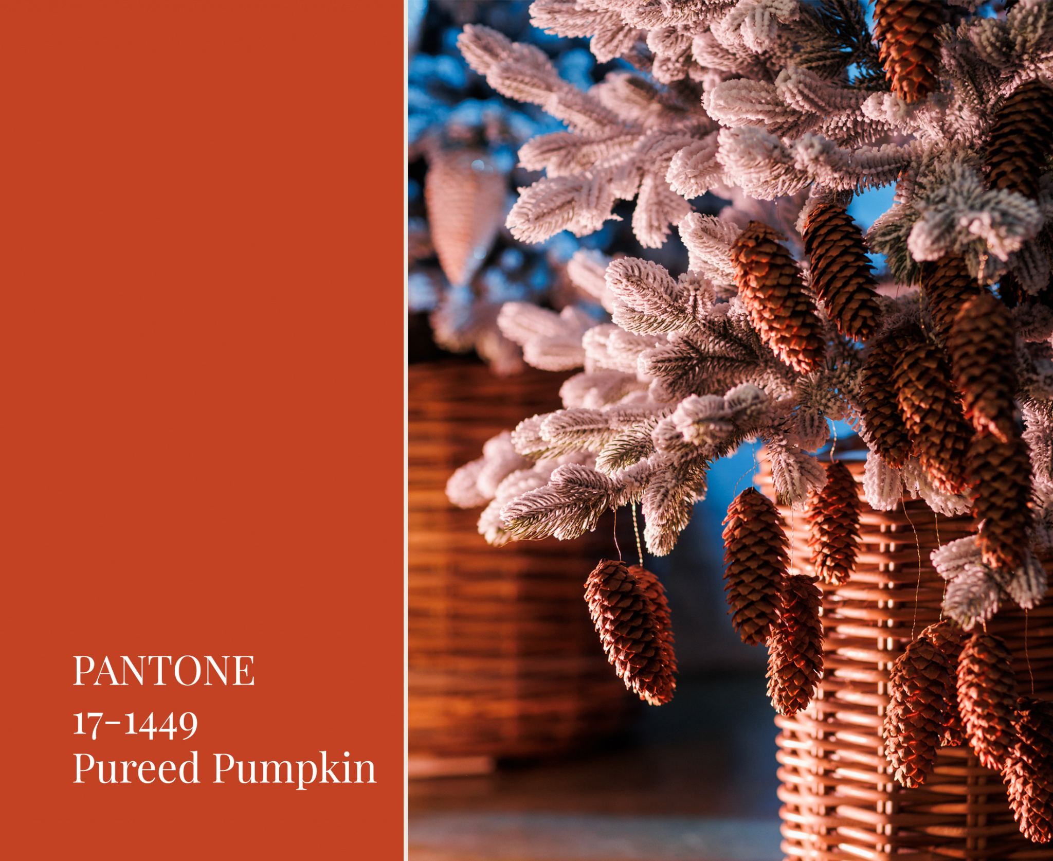 Модный интерьер Pureed Pumpkin