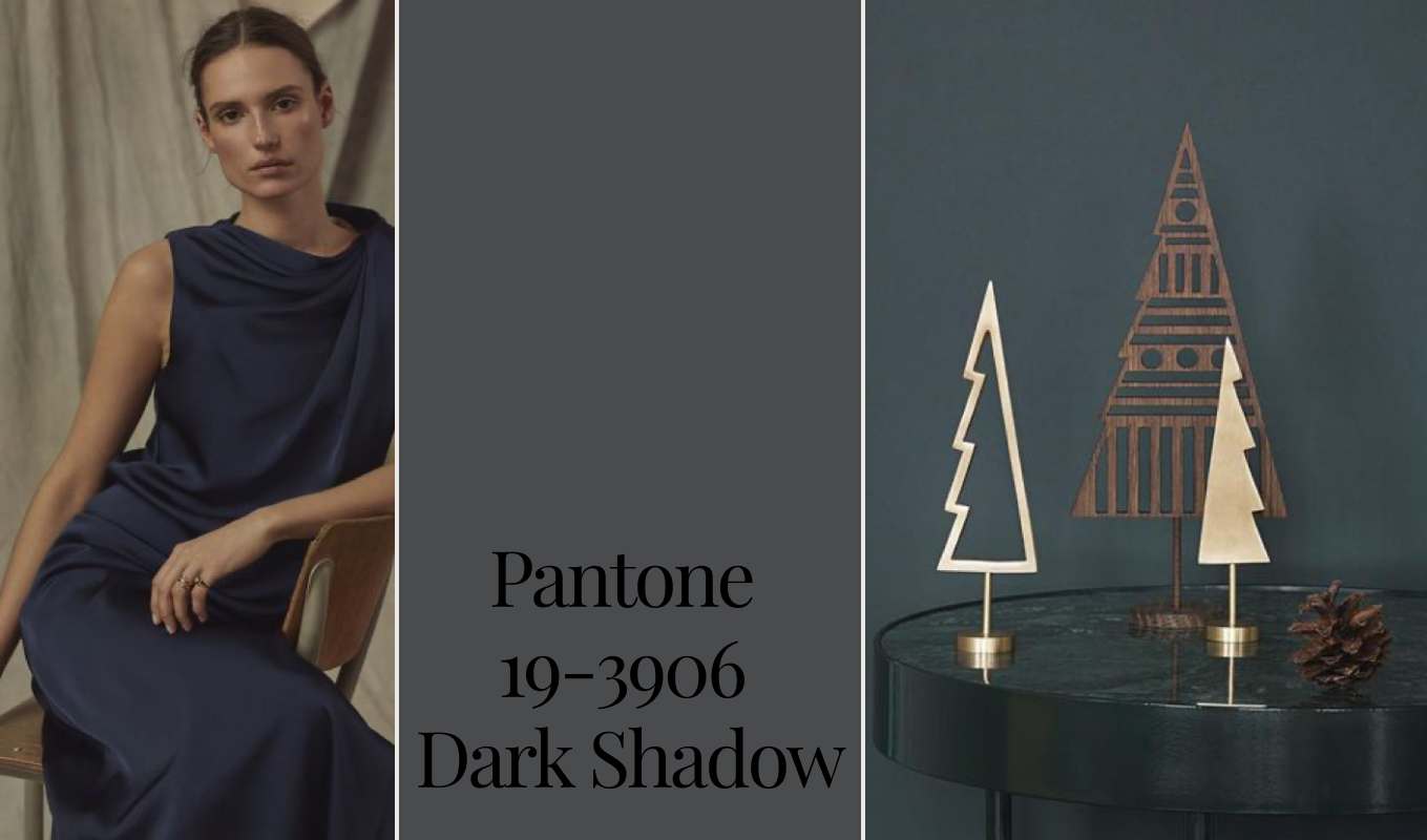 PANTONE 19-3906 Dark Shadow