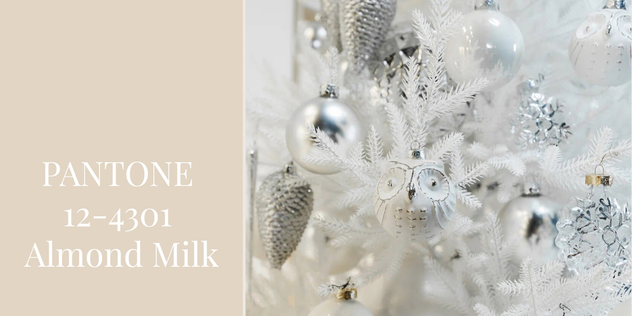 PANTONE 12-4301 Almond Milk