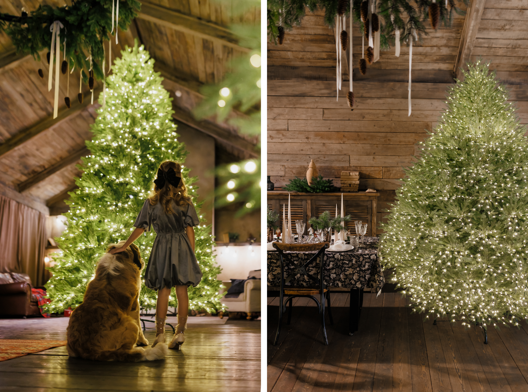 Рисунок4.png На фото ель Ливадийская с лампочками Elite и лимитированная ель Шу с лампочками