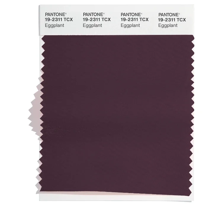 PANTONE 19-2311 Eggplant