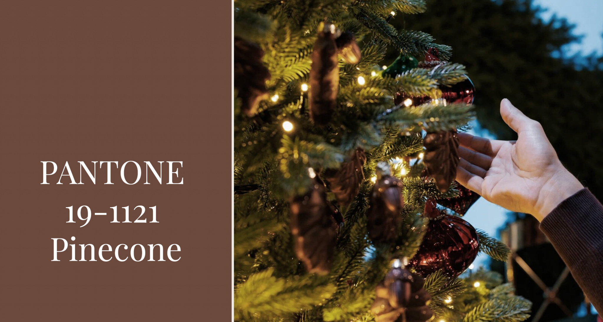 PANTONE 19-1121 Pinecone