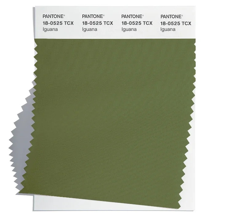 PANTONE 18-0525 Iguana