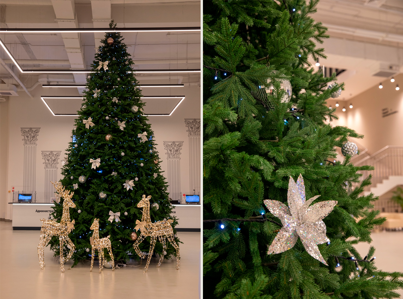 Ель Max Christmas