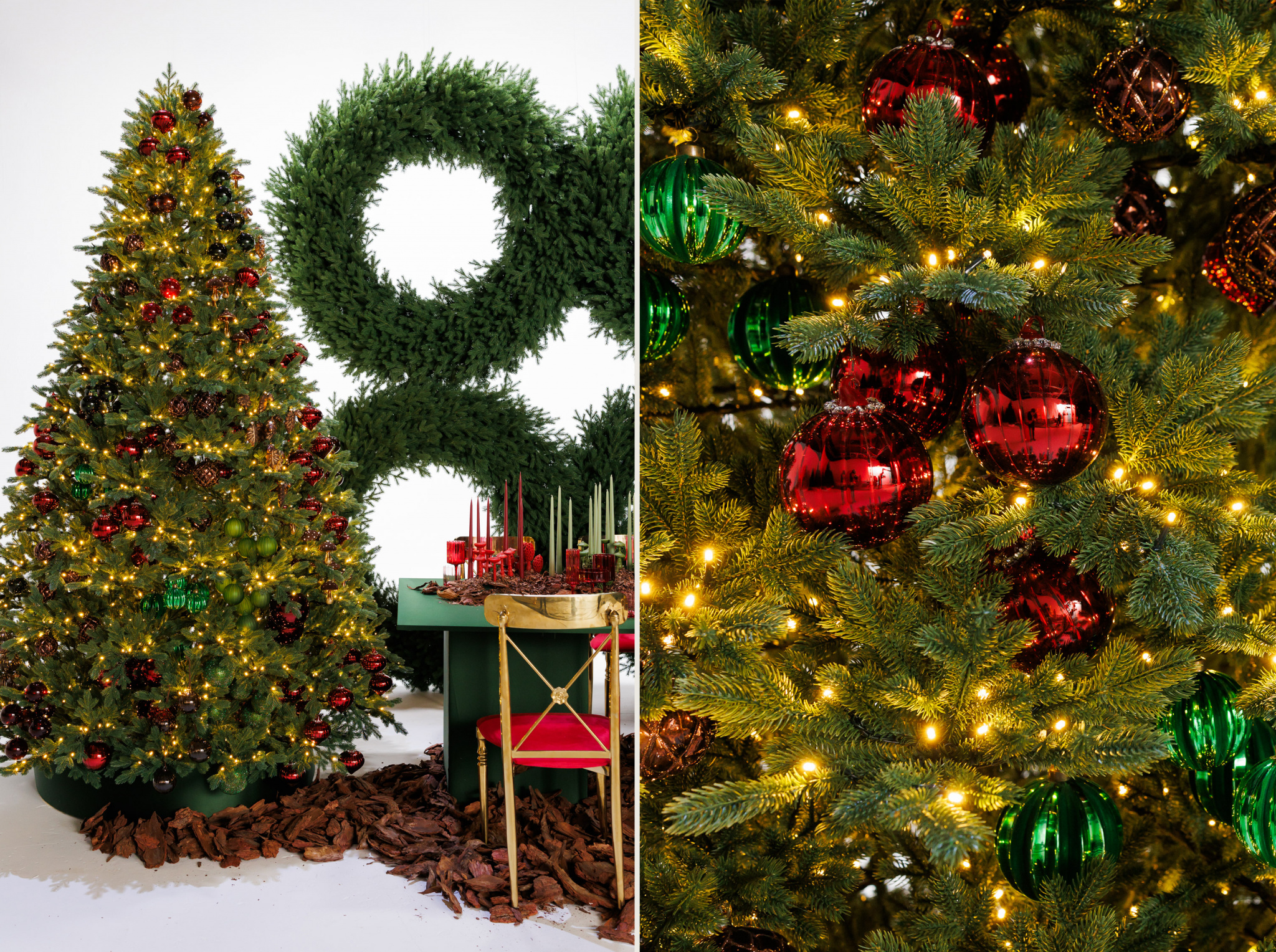 Ели Max Christmas