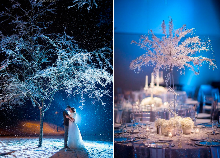 Свадьба зимой: заснеженные деревья