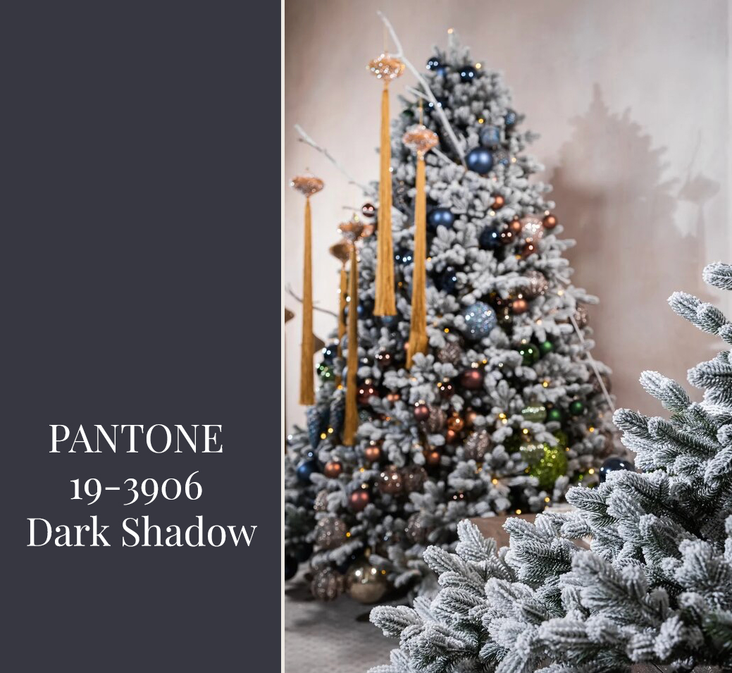 PANTONE 19-3906 Dark Shadow