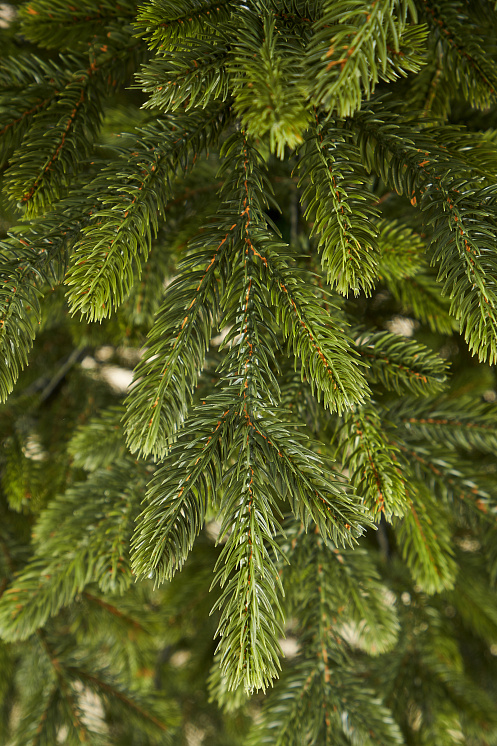 Ель искусственная литая Дворцовая