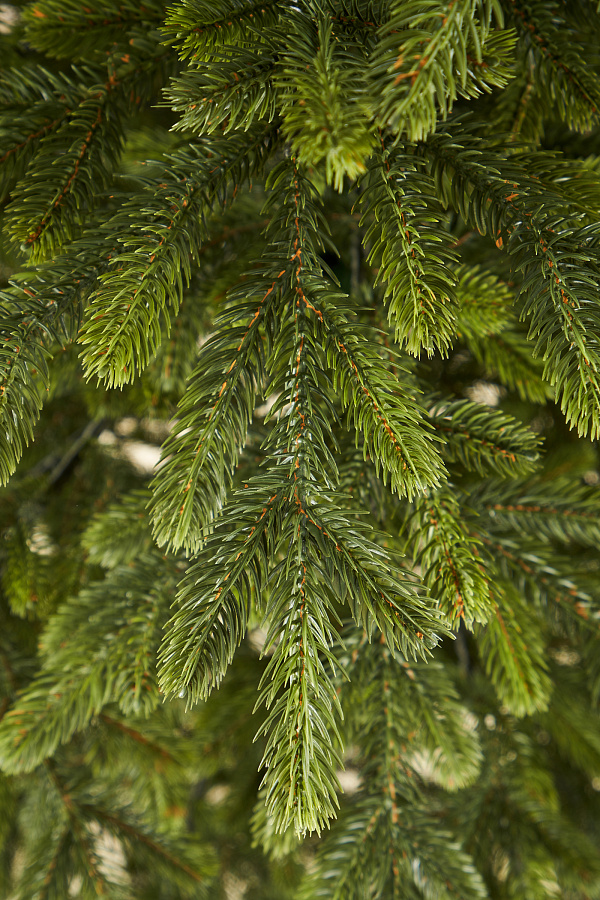 Ель искусственная литая Дворцовая