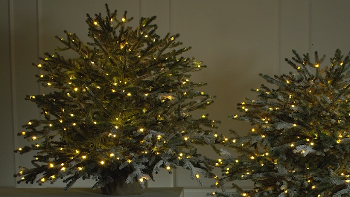 Ель Эми настольная иней с лампочками 0,8 м