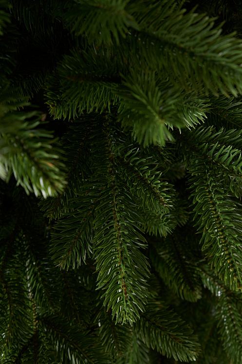 Ель литая Сочинская