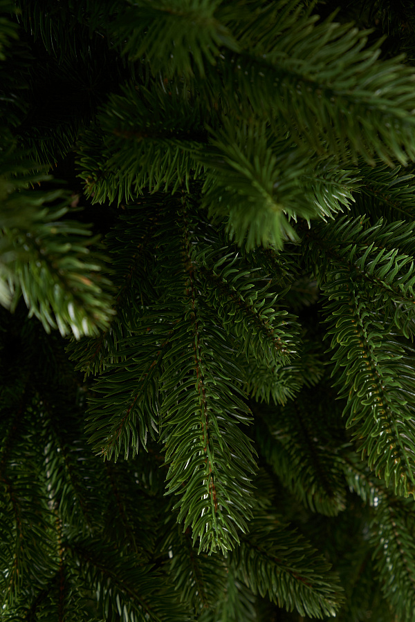 Ель литая Сочинская