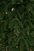 Ель искусственная литая Вдохновение