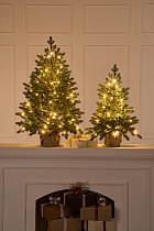 Ель настольная Византийская с лампочками