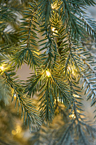 Ель искусственная заснеженная с лампочками Фиджи