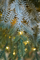 Ель заснеженная с лампочками Аркадия