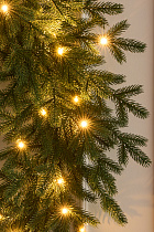 Венок Версальский с лампочками