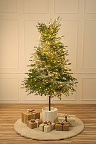 Ель заснеженная с лампочками Аркадия