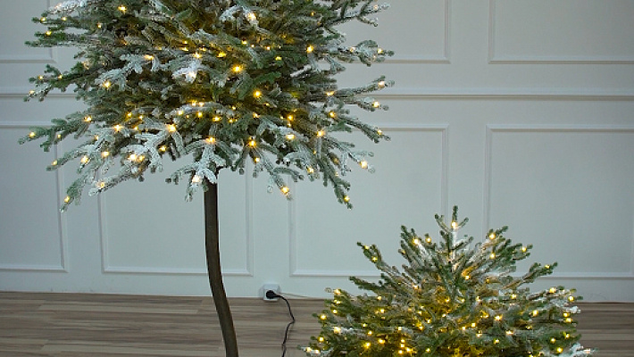 Ель Эми на штамбе иней с лампочками