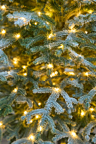 Ель искусственная Эми с лампочками заснеженная на штамбе