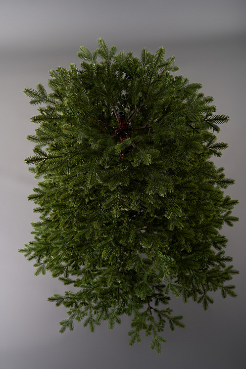 Елка литая Лозанна